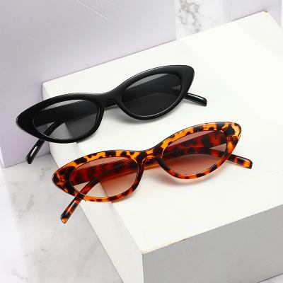 China Rivet Cat Eye Sunglasses Triangle Eyewear 2021 Fashion Small Leopard Cateye Sunglasses Hot Trendy Women Sunglasses for sale