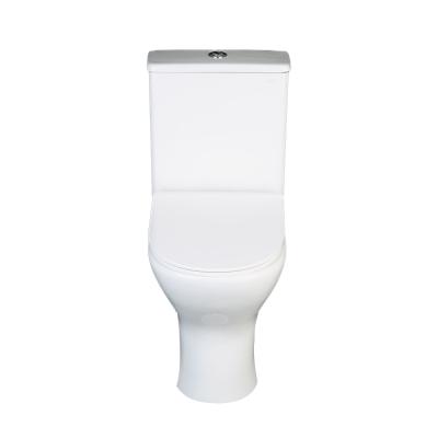 China WC Sanitary Toilet Double-Flow Toiletries Chinese Washdown Toilet for sale