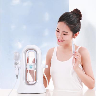 China Peel Home Use Hydra Dermabrasion Micro Bubble Acne Cleaning Mini Facial Cleaning Machine for sale