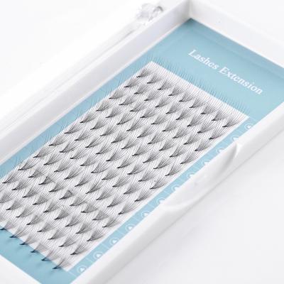 China Sensitive Eyelash Extension Different Eyelash Extension 3d 4d 5d 6d Eyelash Extension Trays Lash Extensions for sale