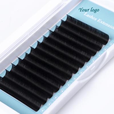 China Delicate Handmade Korean Eyelash Extensions Fiber Lashes PBT Individual Eyelash Extension Individual Eyelash Extension for sale