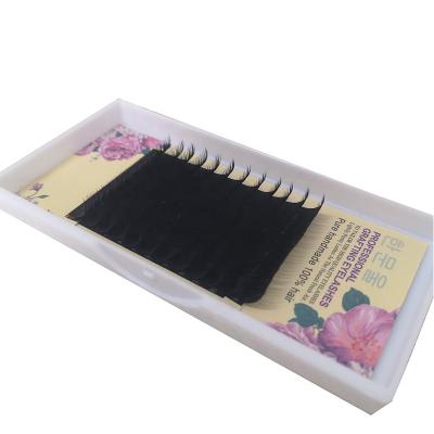 China Natural Soft Individual Volume Cashmere Lash Extensions Lash Extensions Private Label Fan Fan Lash Extensions Tray for sale