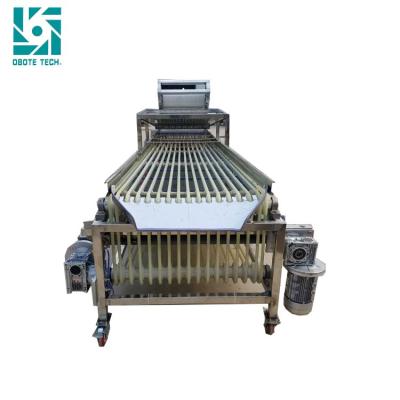 China High Efficiency Jujube Date Grading Machine Red Date Sorter for sale