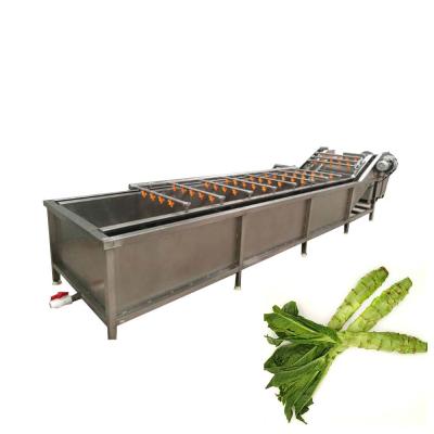 China Commercial Bubble Washer Lettuce High Pressure Cleaning Vegetable Washer Made In China for sale