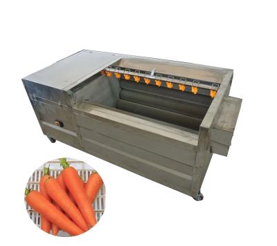 China Small Scale Industry Machine Continuous Cleaning Joint With Brush Rollers For Carrot for sale