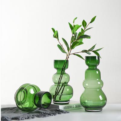 China Modern Green Transparent Glass Vase Living Room Hydroponic Vase for sale