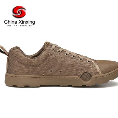 China High Quality Military Fashion Combat Canvas Soldier Training Shoes Tactical Daily Training Outdoor Shoes for sale