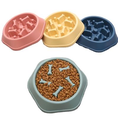 China Automatic Water Food Feeder Drinking Travel Portable Plastic Dish Slow Dog Bowls for sale