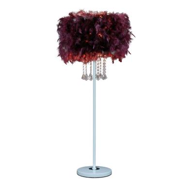 China Creative Nordic feather light Zunguang personality creative bedside LED Crystal Floor Lamp Luxury to marry bedroom living room for sale