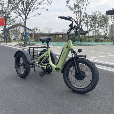 China CoBiking Aluminum Factory Design Folding Adult Battery 3 Wheel Electric Tricycle Price 14Ah New Cheap Hidden Bike With Three Wheels for sale