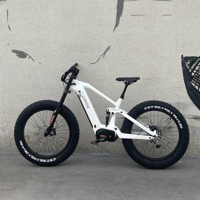 China Carbon Fiber Magura Brake DNM Suspension Velo Electrique Carbone 48V 1000W MMG510 Mid Motor Electric Hybrid Bike for sale