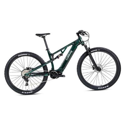 China New 11 speed aluminum alloy full mountain alloy 250w Bafang mid drive amtb suspension for adults for sale