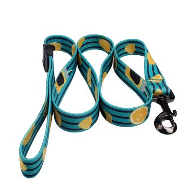 China Fashion Polyester Strong DETACHED Pet Leash With Logo For Large Dog Rubber Custom Made for sale