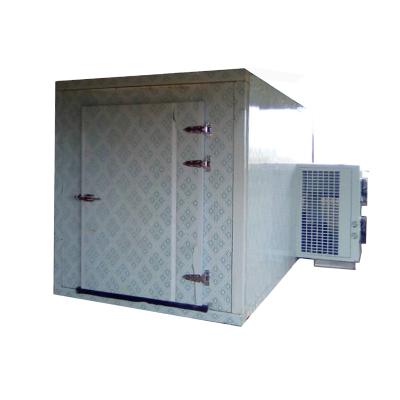 China Small Hotels Blast Freezer Cold Room Air Chicken Blast Freezer Freezer Room for sale