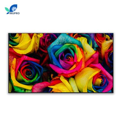 中国 OEM ODM Wupro CBSP UST ALR 120 inch Projection Screens PET crystal home theater 4k screen projection high contrast 販売のため