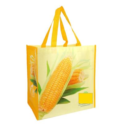 China Philippines Eco-Friendly Subway Supermarket PP High Quality Reusable Laminated Nonwoven Cheap Laminated Supermarket Eco Bags for sale