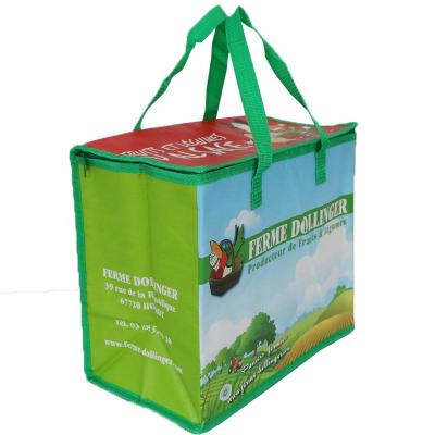 China France Market Customized Piping Woven Grocery Insulated Shopping Bag Eco-friendly Good Quality Webbing Tote Cooler Bag for sale