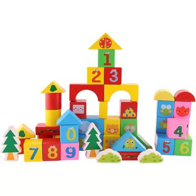 China Wooden Building Toy 50Pieces Building Blocks Set Educational Toys For Kid Baby 2021 Montessori Blocks Toys Bricks Kids for sale