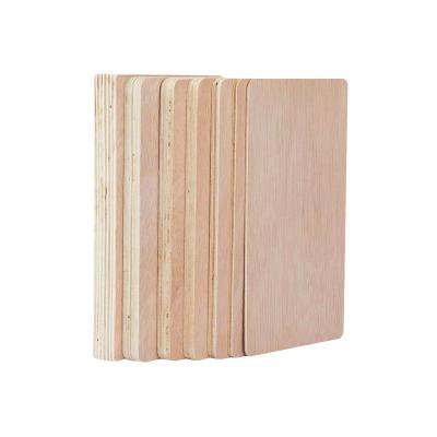 China Eucalyptus-modern professional design plywood 9 mm poplar packing plywood for sale