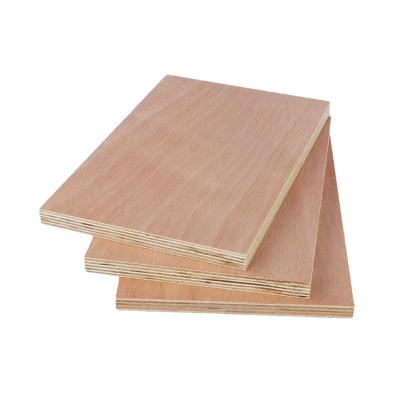 China Fancy Modern Wood Natural Birch Core Poplar Eucalyptus Furniture Combinations Various Grade LVL Packing Plywood for sale