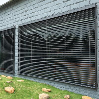 China Factory Low Price Folding Venetian Blind Screen Shutter for sale