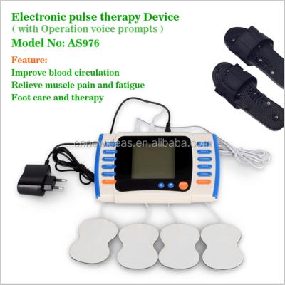 China Electronic Body Pulse Massager Ten Unit Digital Therapy Machine for sale