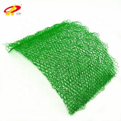 China Modern Professional Geomat Erosion Control Mat Plastic 3D Geomat Manufacturers for sale