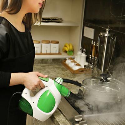 China Steam Technolodge New Arrival Multifunctional Portable Small Handheld Kitchen Cleaning Pressurized Upholstery Steam Cleaner for sale