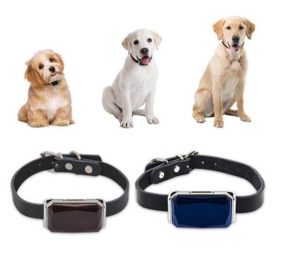 China Plastic + Metal GPS Pet G12 Locator Precise Positioning Adjustable Smart Collar With Two Colors for sale