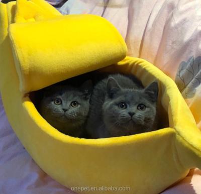 China Breathable Cute Banana Bed Cat Design Pet Boat Bed Small Animal Banana Boat Bed for sale