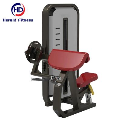 China Commercial Use Best Quality Commercial Gym Strength Training Fitness Equipment Pin Loaded Bicep Triceps Machine for sale