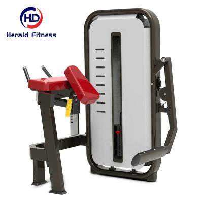 China Commercial Use MOQ 1 Acceptable Professional Gym Strength Training Fitness Equipment Pin Loaded Glute Isolator Machine for sale