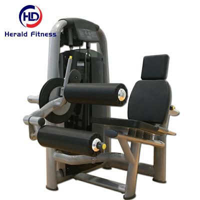 China Commercial Use Distributor Wanted Muscle Dezhou Fitness Sport Bodybuilding Leg Curl & Extension With Free Painting Color for sale