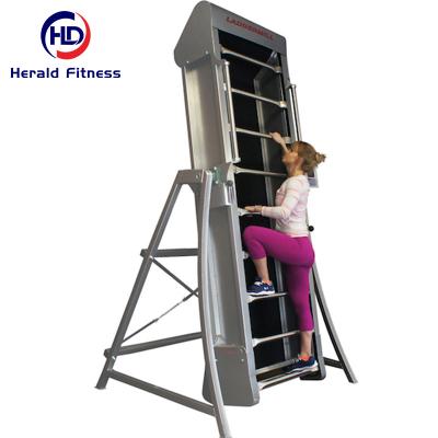 China Commercial Use Oem Acceptable Fitness Dezhou Fitness Sport Gym Equipment Near Me Multi-Function Laddermill For Workout for sale