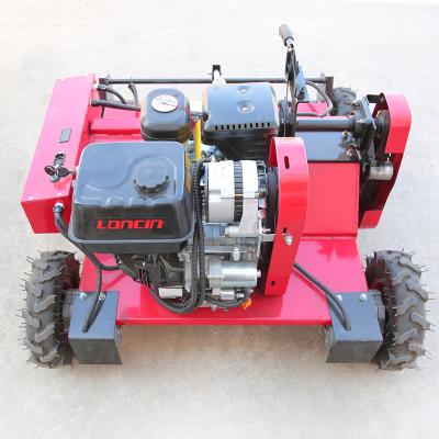 China Factory Supply High Power Gasoline Robot Lawn Motor Lawn Flail Mower Direct Efficient 4-Stroke Wheel Motors With CE Approval for sale