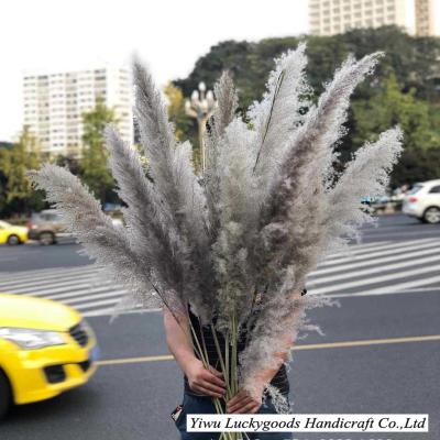 China LK20200604-7 Touch Pampas Grass Natural Wholesale Wedding Dried Flower Best Decorative Real Natural Dried Pampas Grass for sale