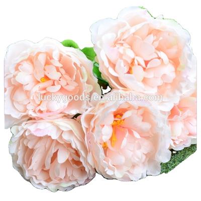 China 2016 Artificial Peony 5heads Silk Fancy Coral Peony for Home Decor for sale