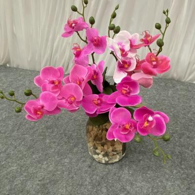 China LF822 Long Lasting High Quality Artificial Flowers For Gift Luckygoods Butterfly Orchid Flowers Real Touch for sale