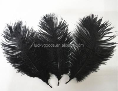 China Hot Sale 15-20cm Black Ostrich Feather LNM001 2019 Real Bird Feathers for sale