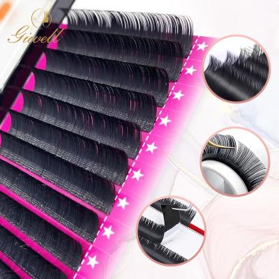 China GIWELL PBT Soft Korean Fiber Premium Quality Flat Eyelash Extensions Elipse Queelese for sale