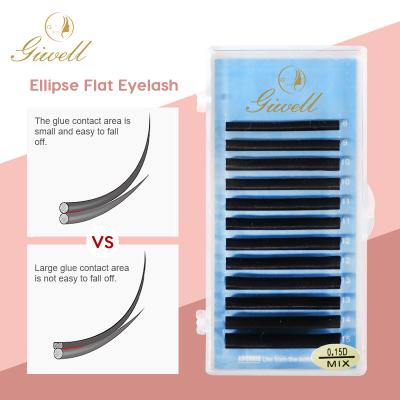 China Hot Selling GIWELL Soft Ellipse Premium Chinese Factory Wholesale Flat Eyelash Extensions for sale