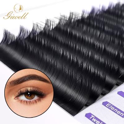 China GIWELL Soft Plus Size Private Label Wholesale Good Quality Individual Air Soft Flat Eyelashes for sale