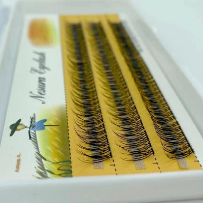 China 2022 Zwo fan eyelash superroots handmade premade long stem natural soft fan eyelashes eyelashes 3d eyelash extension for sale