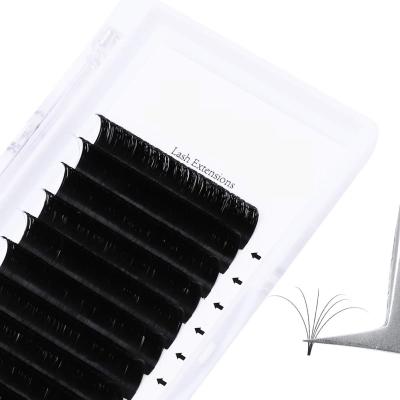 China 2021 wholesale super flexible wxx lashes private label mega volume eyelash extensions for sale