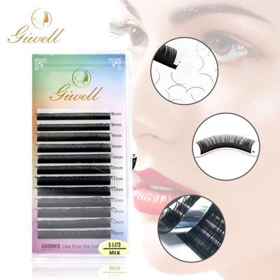 China Professional 0.05 Classic Japanese Dark Matte Mink Individual Eyelash Extension GIWELL for sale