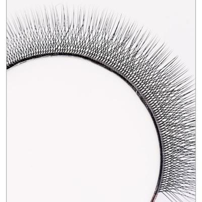 China 2022 Zwo W Natural Soft Clover Eyelash Extension Made in China for sale