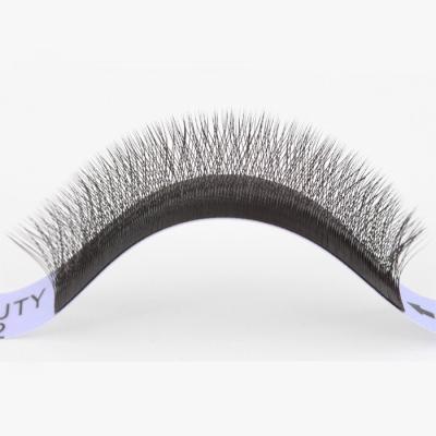 China New Design 6D Natural Soft Clover Shape Eyelash Extension Made in China for sale