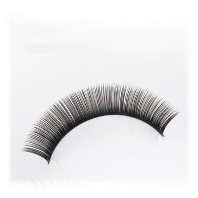 China 8-15mm brand new flat price Mink Eyelash Extension Supplies With big for sale