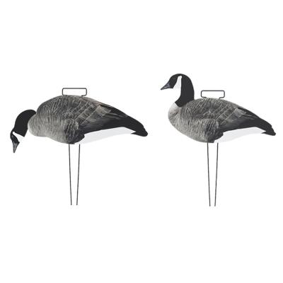 China Custom Plastic PP Lifelike goose silhouette decoys Anti Reflective canada goose decoys for sale