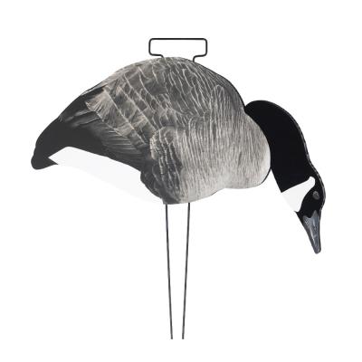 China Grey Canada Snow Goose Hunting Decoy With Flocked Head Upright Or Feeder Body Style for sale